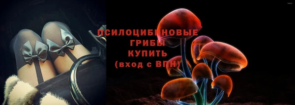 apvp Алексин