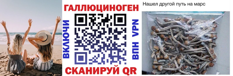 купить   гидра ТОР  Галлюциногенные грибы мухоморы  Бирск 